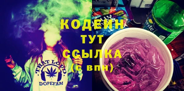 прущие грибы Алзамай