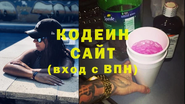 прущие грибы Алзамай