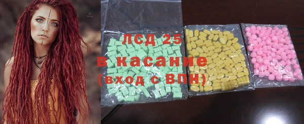 прущие грибы Алзамай