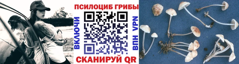 Галлюциногенные грибы ЛСД  omg маркетплейс  Железногорск  хочу  